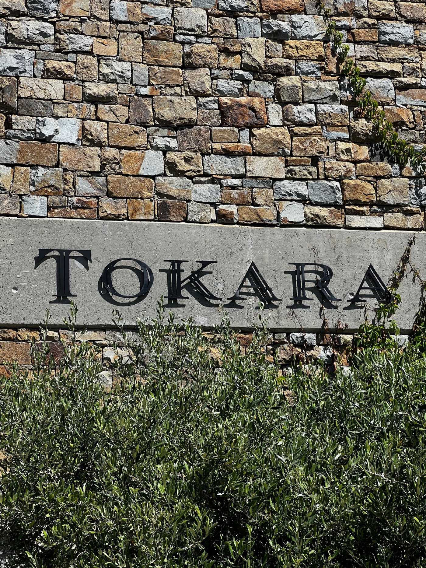 TOKARA Wine Estate in Stellenbosch