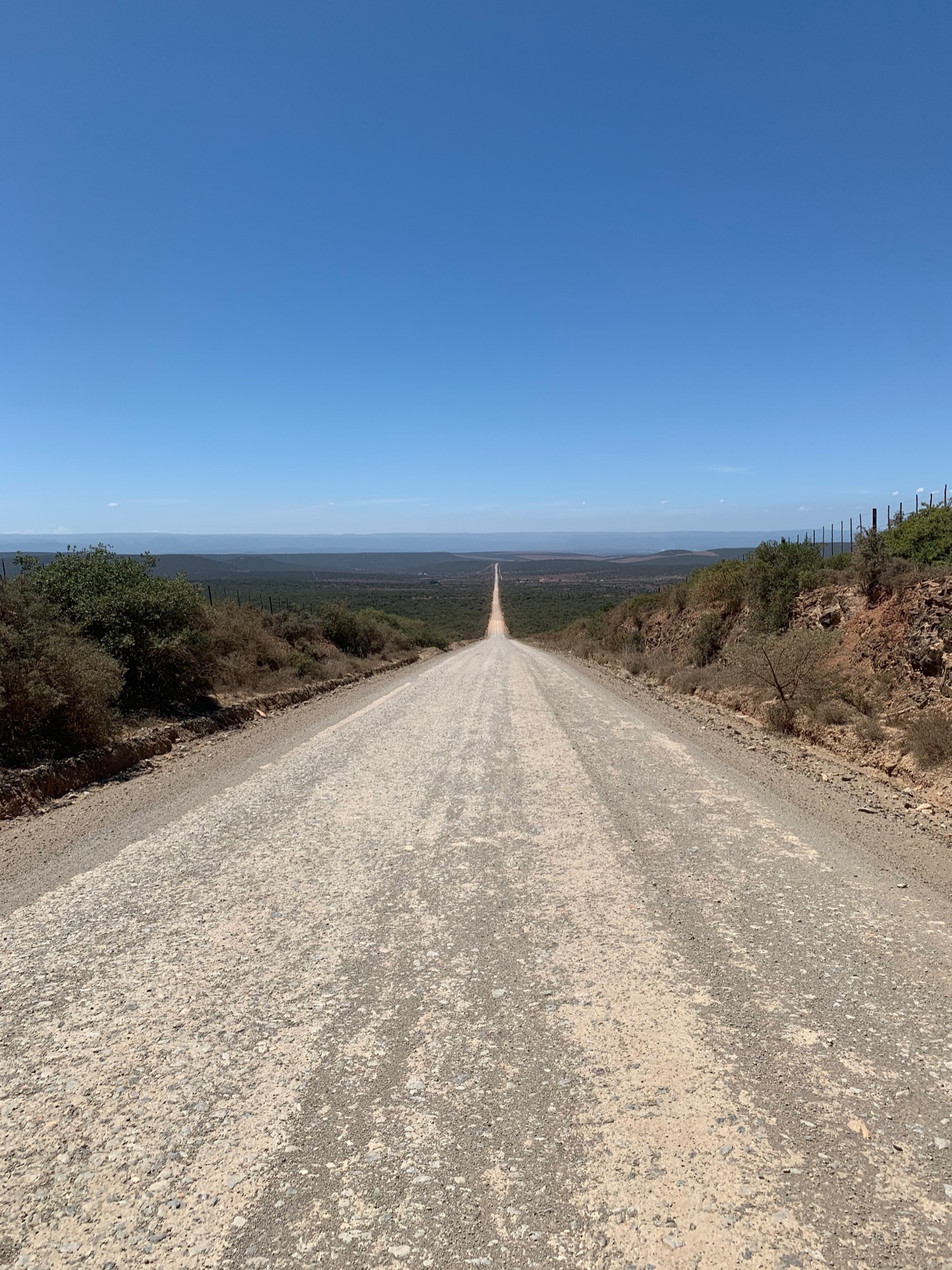 Lange Schotterstraße durch das Swartland